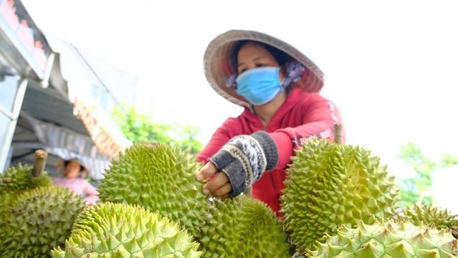 Xuất khẩu rau quả 11 tháng đạt gần 7,76 tỷ USD, hướng tới kỷ lục 8,5 tỷ USD