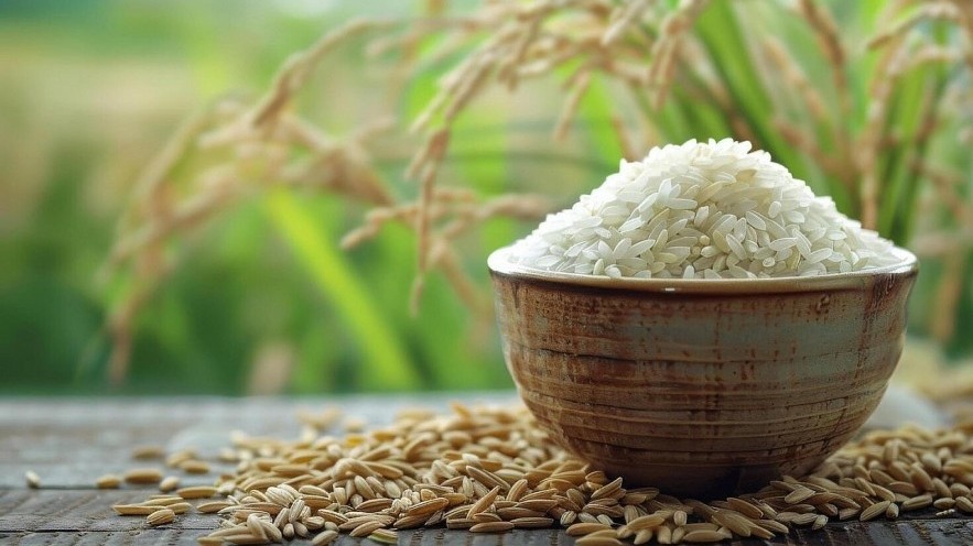 Philippines nhập khẩu gạo trở lại năm 2026: Cơ hội và thách thức cho doanh nghiệp Việt