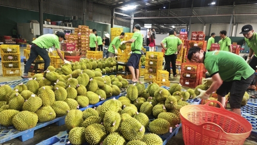 Từ minh bạch nguồn gốc đến hành trình vươn xa của nông sản Việt