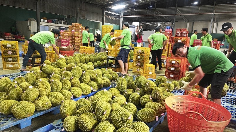 Từ minh bạch nguồn gốc đến hành trình vươn xa của nông sản Việt