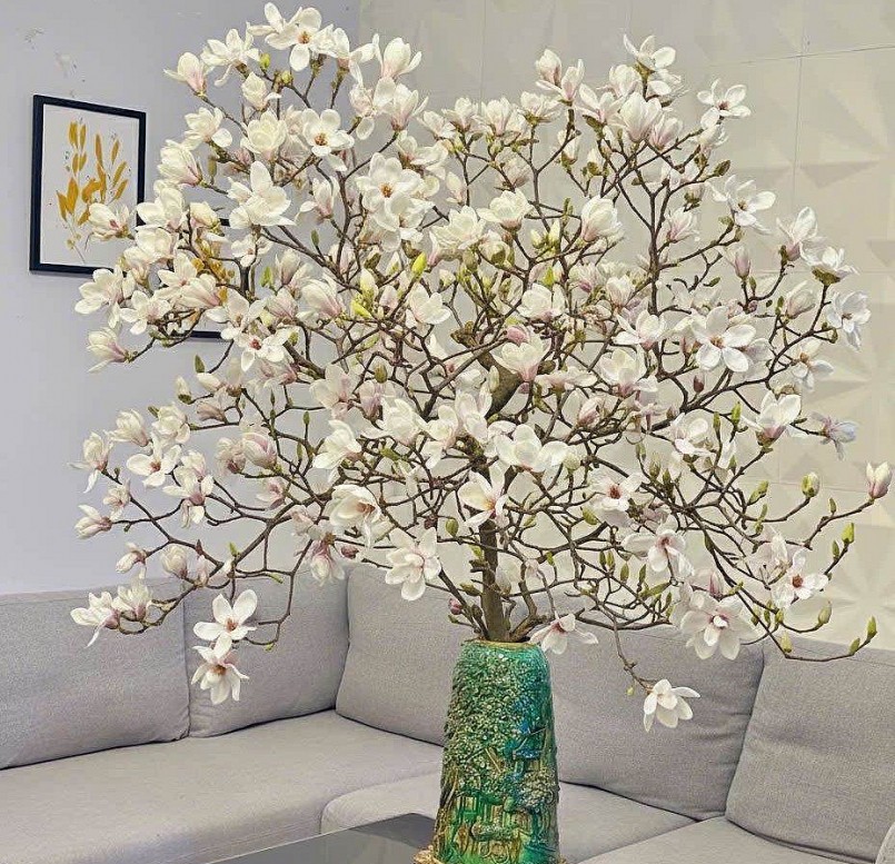 Mộc lan tiền triệu bung nở, làm “nóng” chợ hoa Tết Hà Nội