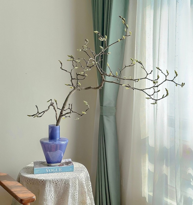 Mộc lan tiền triệu bung nở, làm “nóng” chợ hoa Tết Hà Nội