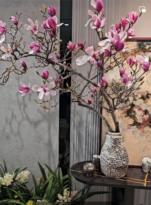 Chơi hoa mộc lan đang dần trở thành xu hướng mới, được nhiều chị em lựa chọn để trang trí không gian sống dịp cuối năm.