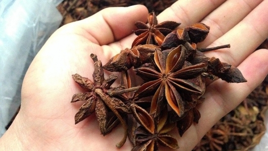 Đưa nông sản quế, hồi Việt Nam ra thế giới bằng chế biến sâu