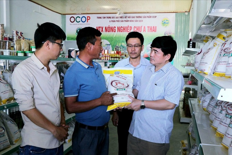 HTX giúp OCOP vươn ra thị trường, thành thương hiệu Việt