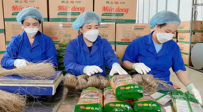 HTX giúp OCOP vươn ra thị trường, thành thương hiệu Việt