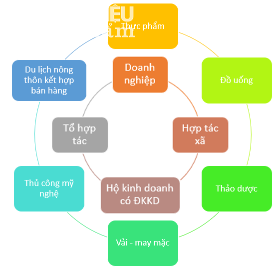 Tiếp tục đẩy mạnh triển khai Chương trình mỗi xã một sản phẩm bảo đảm hiệu  quả thực chất