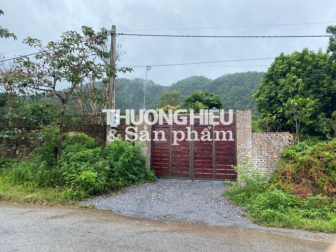 Xã Hiền Ninh (Sóc Sơn - Hà Nội): Homestay 