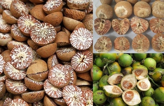 Mẹo vặt hữu ích quanh ta từ quả cau