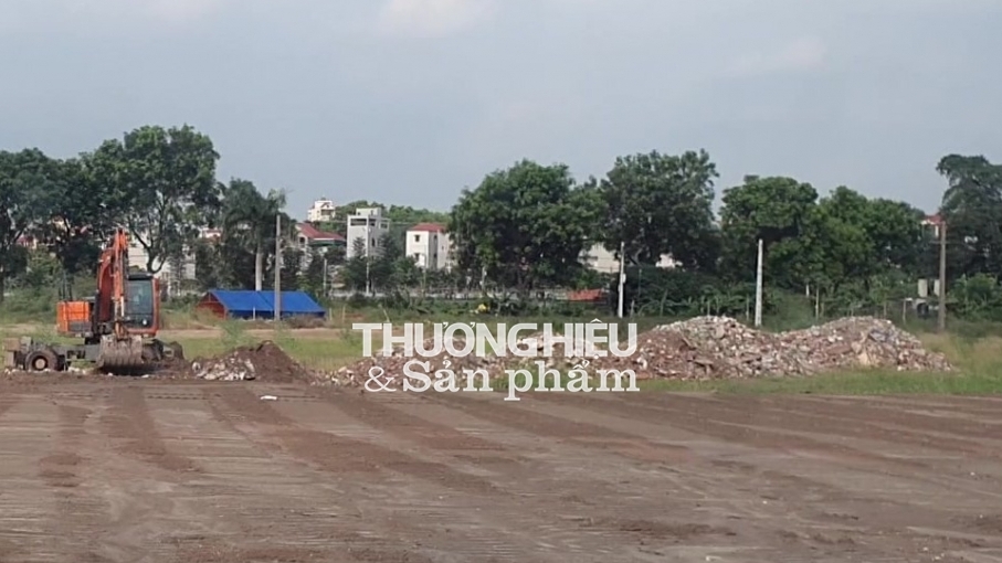 thuonghieusanpham.vn