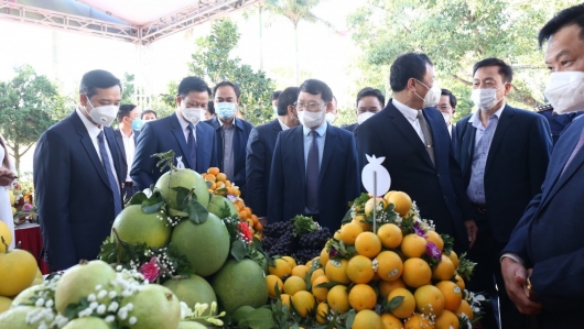 Bắc Giang tổ chức Hội nghị trực tuyến xúc tiến tiêu thụ cam, bưởi và các nông sản chủ lực, đặc trưng năm 2021