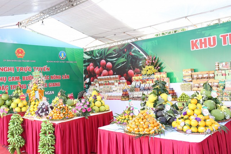 Bắc Giang tổ chức Hội nghị trực tuyến xúc tiến tiêu thụ cam, bưởi và các nông sản chủ lực, đặc trưng tỉnh năm 2021