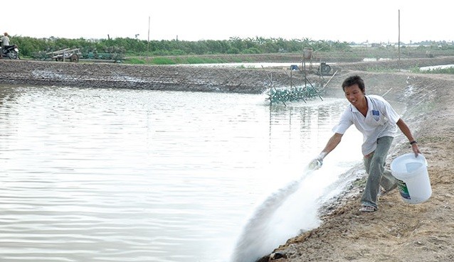 Bình Định: Sản lượng nuôi trồng thủy sản tăng 5,1%
