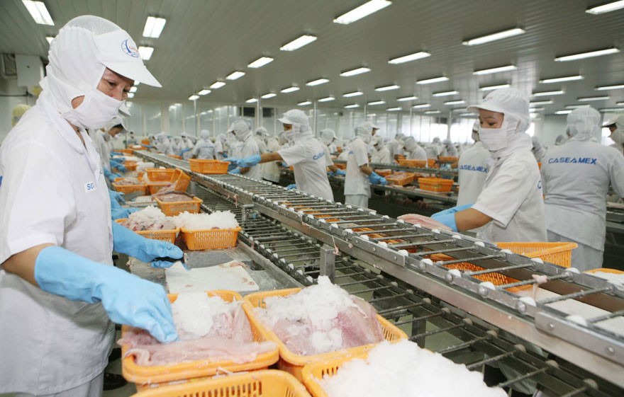 Xuất khẩu thủy sản sang thị trường Trung Quốc giảm mạnh