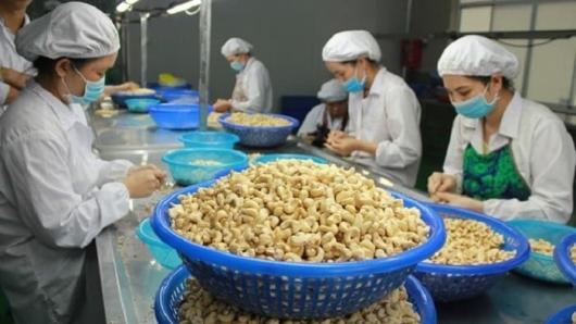 Xuất khẩu hạt điều tháng 1/2022 giảm 10,9% về trị giá so với cùng kỳ