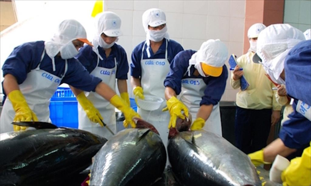 Xuất khẩu cá ngừ sang thị trường Peru tăng đột biến