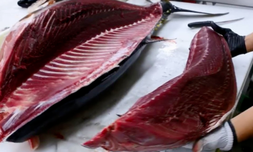 Xuất khẩu cá ngừ tăng đột biến trong quý I/2022