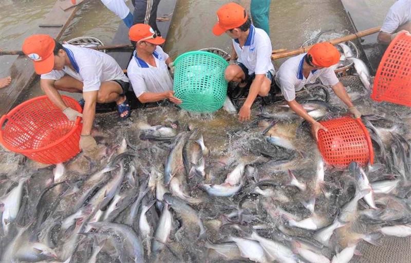 Xuất khẩu thủy sản Việt Nam ước đạt 3,6 tỷ USD trong 4 tháng Xuất khẩu thủy sản Việt Nam ước đạt 3,6 tỷ USD trong 4 tháng