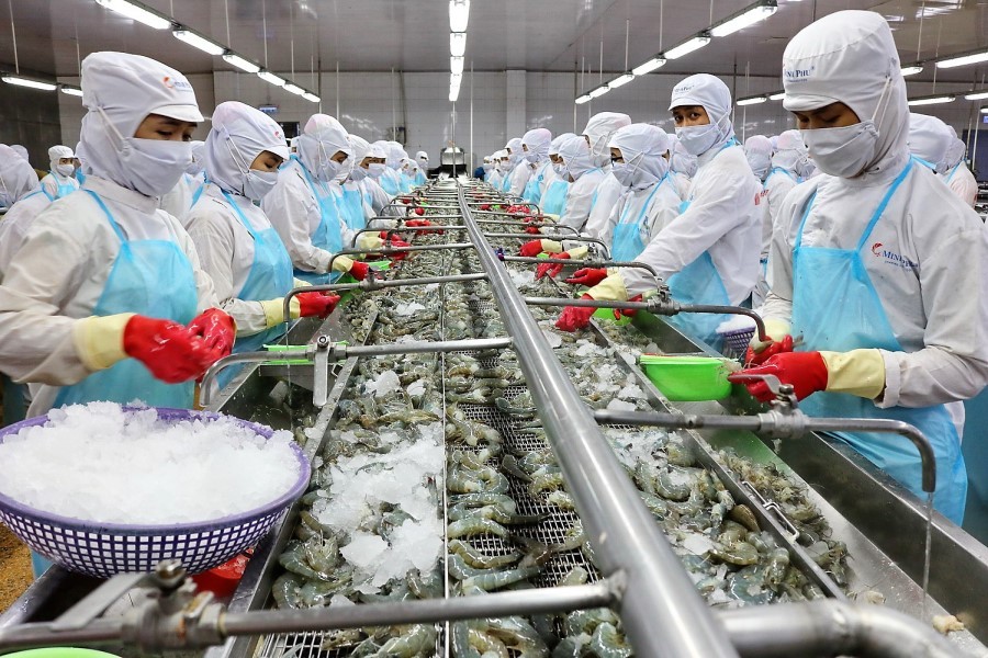 Việt Nam đứng vị trí đầu tiên cung cấp tôm cho Úc