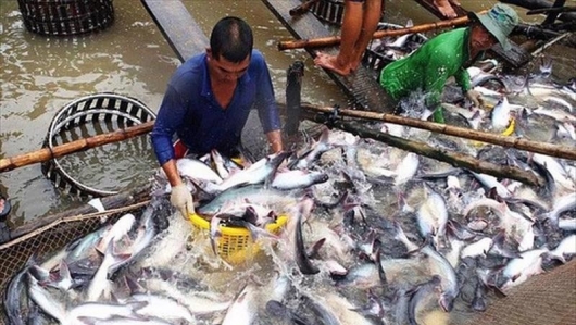 Xuất khẩu thủy sản sang Đan Mạch tăng 79%
