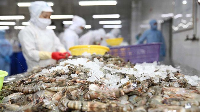 Xuất khẩu thủy sản đạt gần 5,8 tỷ USD