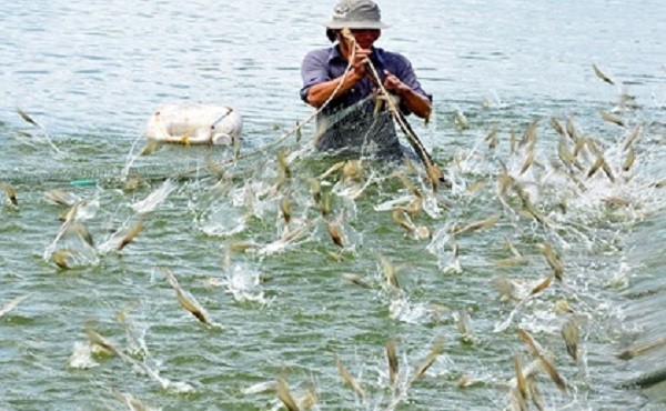 Hàng chục tấn nông, thủy sản ở Đồng Nai cần được 