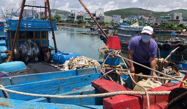 Quảng Ngãi tạm đóng cửa các cảng cá do lo ngại Covid-19