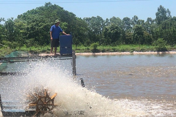 Hà Nội tiến hành rà soát mở rộng diện tích nuôi trồng thủy sản