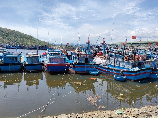 Quảng Ngãi mở cửa các cảng cá giúp ngư dân tiêu thụ hải sản