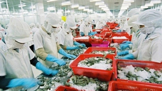 Tận dụng EVFTA để đẩy mạnh xuất khẩu tôm sang Đức