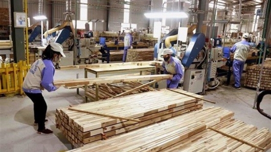 Tận dụng lợi thế từ EVFTA để đẩy mạnh xuất khẩu gỗ và sản phẩm gỗ sang Hà Lan