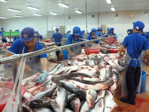 Xuất khẩu cá tra Việt Nam sang Mỹ thuận lợi về giá