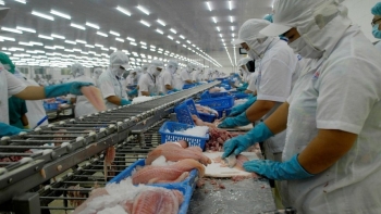 Xuất khẩu cá tra Việt Nam sang Brazil tăng trưởng mạnh