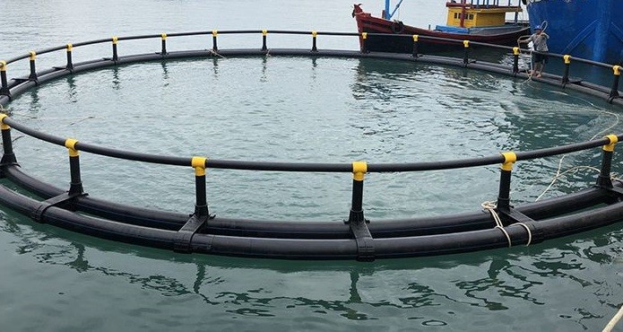 Khánh Hòa đẩy mạnh chuyển đổi mô hình nuôi trồng thủy hải sản biển công nghệ cao