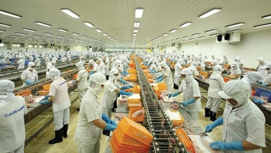 Xuất khẩu thủy sản sang thị trường Hàn Quốc đạt hơn 124.000 tấn
