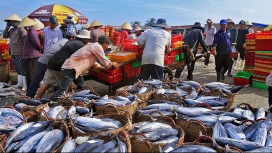 Sản lượng thủy sản Việt Nam trong tháng 11/2021 tăng 3,2%