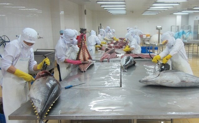 Xuất khẩu cá ngừ Việt Nam sang thị trường Trung Đông tăng 15%