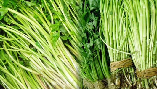 Hiệp Hòa (Bắc Giang): Thuận lợi trong việc tiêu thụ rau cần