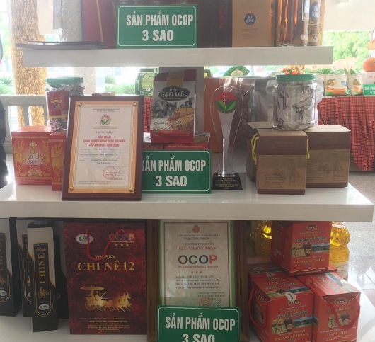 OCOP tỉnh Thanh Hóa: Tìm hướng gỡ khó cho doanh nghiệp truyền thống
