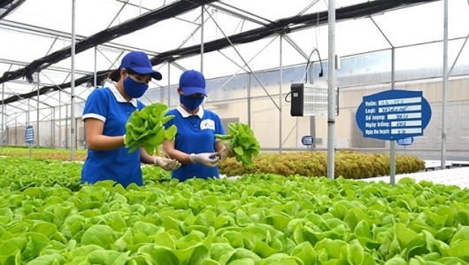 Quảng Ninh xây dựng khu nông nghiệp ứng dụng công nghệ cao