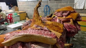 Bình Thuận: Phát hiện hơn 1 tấn thịt lợn không rõ nguồn gốc