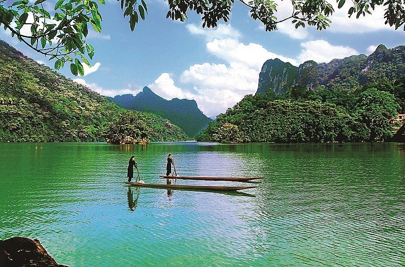 Ảnh minh họa