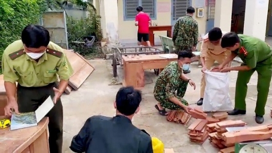 An Giang: Bắt quả tang đối tượng vận chuyển nhiều đồ gỗ lim, gỗ hương nhập lậu
