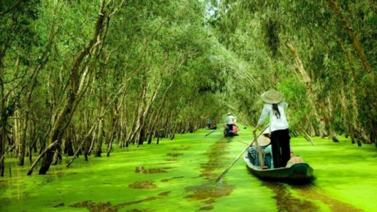 Sắp diễn ra sự kiện du lịch “Hương rừng U Minh” năm 2022