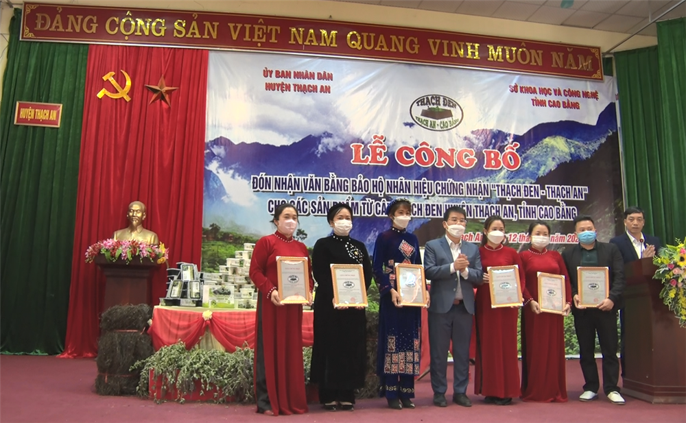 Chủ tịch UBND huyện Thạch An trao Giấy chứng nhận quyền sử dụng NHCN cho 6 thủ thể chế biến và kinh doanh sản phẩm thạch đen
