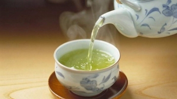 Uống loại trà phù hợp với nhóm máu sẽ tăng cường sức khỏe