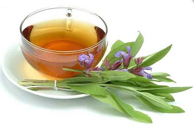 Trà xanh, trà từ cây xô thơm,... giúp kích thích hệ tiêu hóa hoạt động tốt hơn và giảm mệt mỏi, giúp ngủ ngon,...