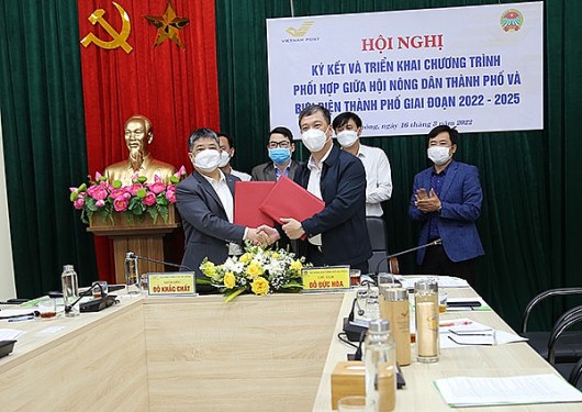 Hải Phòng: Hỗ trợ nông dân chuyển đổi số trong sản xuất và tiêu thụ nông sản giai đoạn 2022-2025