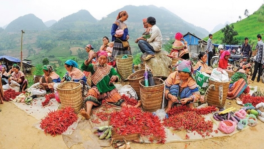 Tập huấn bảo tồn Chợ phiên đặc trưng của đồng bào các Dân tộc thiểu số