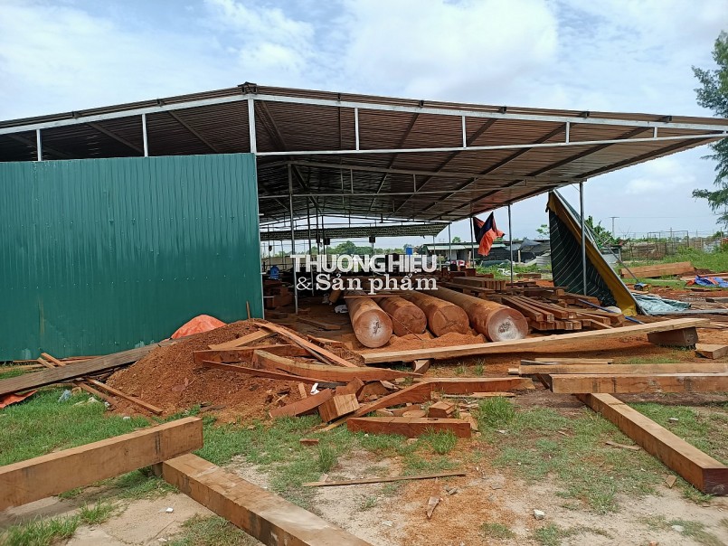 Hà Tĩnh: Xưởng gỗ trái phép thách thức chính quyền?